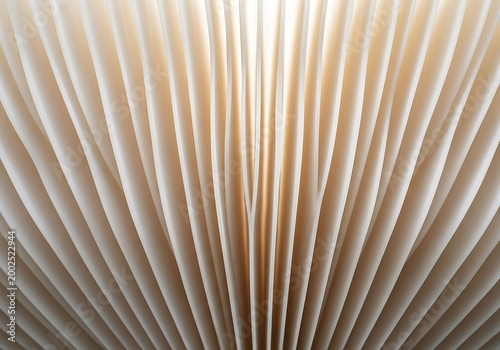 Mushroom gills macro abstract pattern