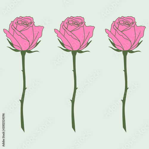 Three blooming roses in soft pink tones