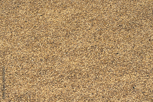 Billede på lærred Chenopodium quinoa - Organic white quinoa seeds in bowl and spoon