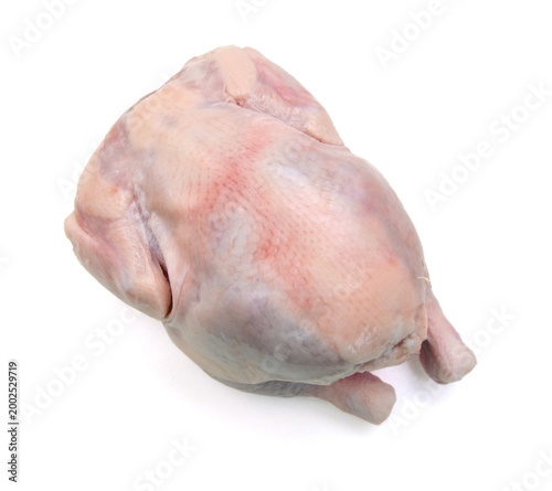 Raw hen on a white background
