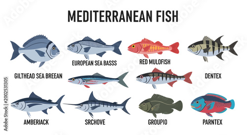 Photos Mediterranean Fish Species Identification Guide.