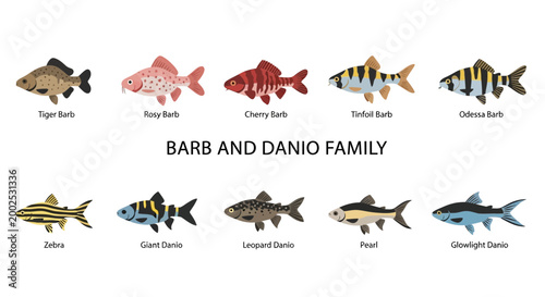 Photos Variety of colorful freshwater aquarium fish.