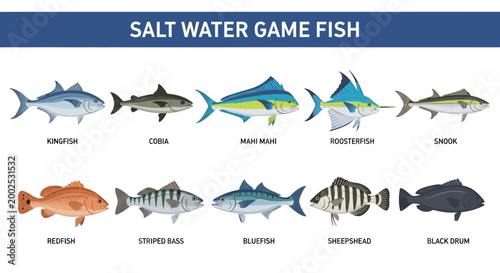 Foto Variety of Saltwater Game Fish Species.