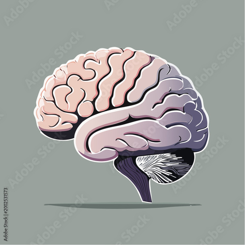 Illustration of a human brain in profile view, showcasing its intricate structure and lobes with a stylized cerebellum