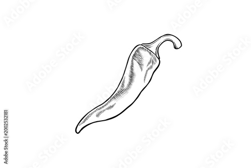 hand drawn chili lineart illustration