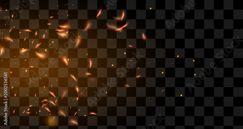 Flame of fire with sparks on a black background. The texture of the fiery storm. The fiery sparks of lights flash, a shot of a flying spark in the air. a dark night