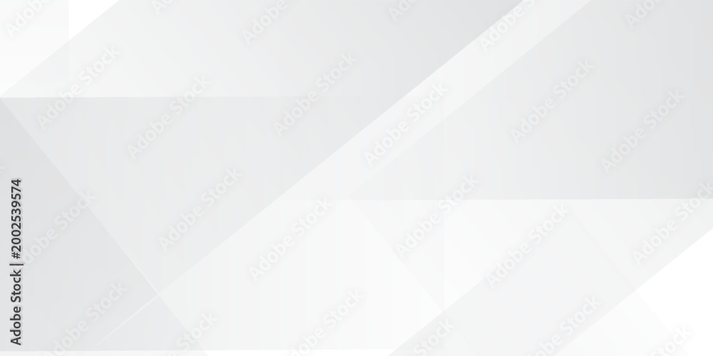 © SYAIFUL ANWAR - Abstract white and gray background. smooth abstract background, blurred pattern. Light pale vector background. Abstract pale geometric pattern eps 10