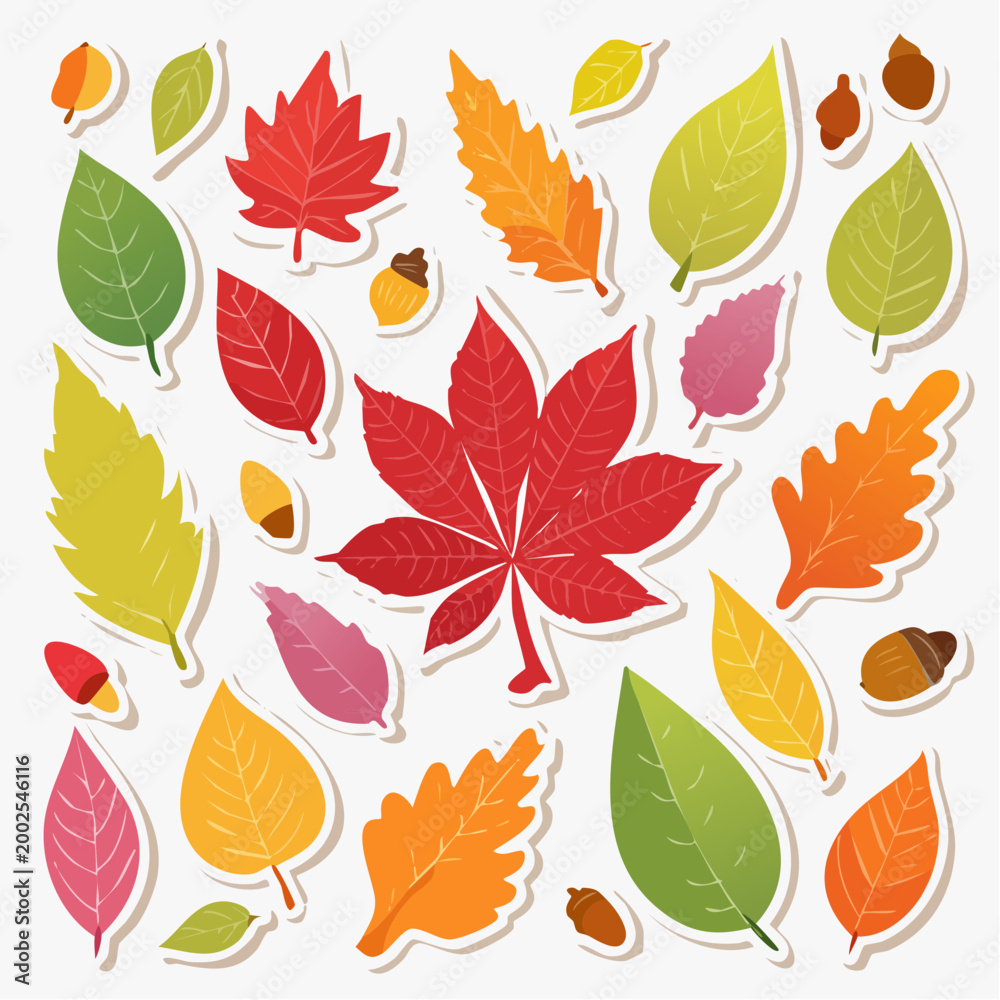 Obraz premium Autumn Leaves and Acorns Collection