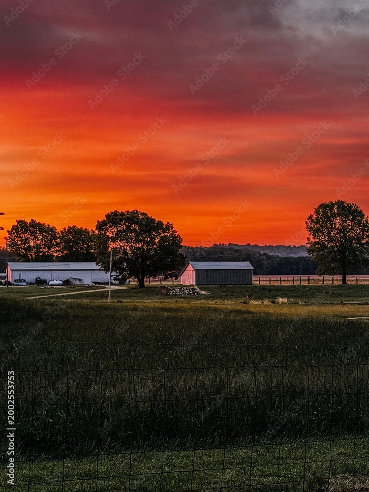 Fototapeta premium sunset over the field