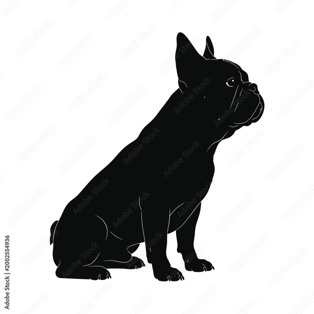 Obraz premium Black French Bulldog Sitting Profile View.