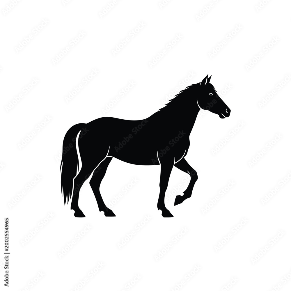 Fototapeta premium Black horse silhouette walking profile.