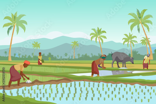 farmers working in rice paddy field tropical landscape illustration
