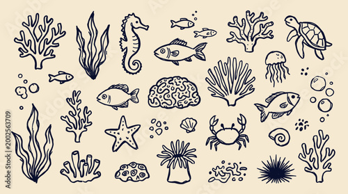 Hand drawn collection of marine life and underwater elements including sea creatures coral plants and shells in a charming sketchy style on a neutral background