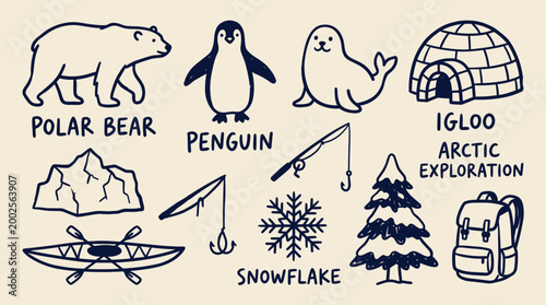 Cute hand drawn collection of arctic animals and winter exploration elements including polar bear penguin seal igloo snowflake tree and kayak for children educational design