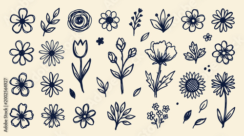 Hand drawn floral elements and botanical illustrations with a charming sketchy aesthetic perfect for design projects and artistic creations