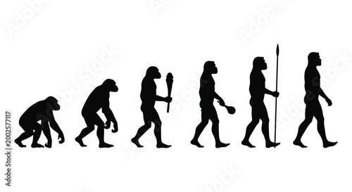 Human evolution vector graphic illustration showing stages from ape to modern man