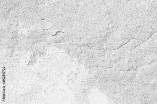 Detailed close-up of a abstract white background showcasing natural texture a...