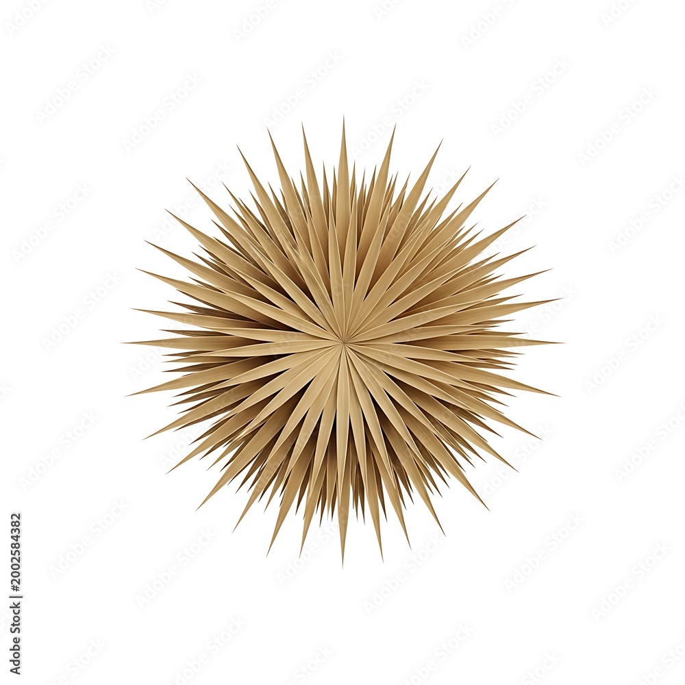 Obraz premium Dried palm leaf starburst wall decoration isolated on white background
