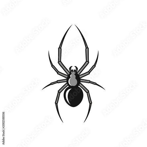 Tableau sur toile Black widow spider closeup view.