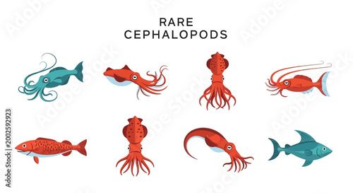 Quadro em tela Rare Cephalopods and Marine Life Forms.