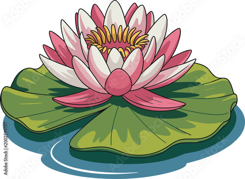 Photography A colorful water lily flower blossom on a green lily pad floating in serene blue water vector on white background