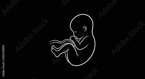 Minimalist white line art illustration of a human fetus on a black background.