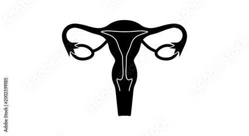 Black silhouette icon of the human female reproductive system.
