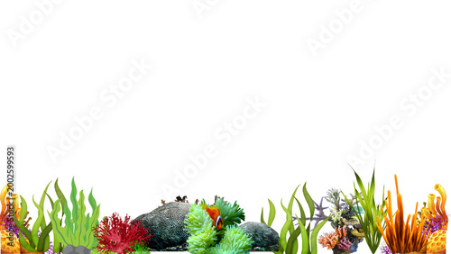 Photos Clownfish swimming near coral reef and sea plants isolated on Transparent backgr