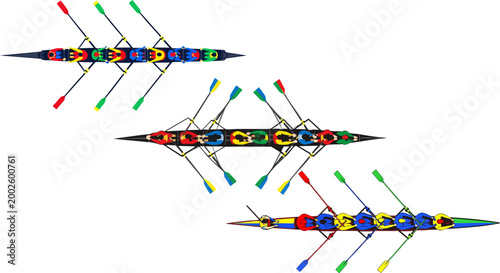 Rowing crew team in racing shells, top view of colorful sculling boats with oars, professional rowing competition vector illustration