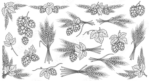 Large collection of hand-drawn hop cones, leaves, and wheat ear bunches in black and white for brewery or farm themes.