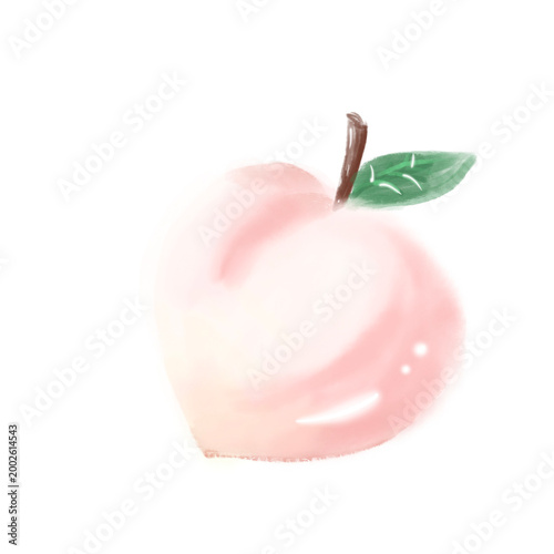 Photos 복숭아