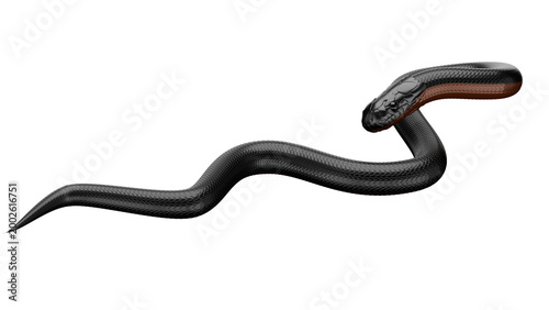 Photos 3d rendering black phyton