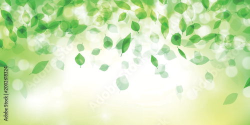Bilde på lerret Fresh Green Leaves Falling on a Bright Blurred Natural Background