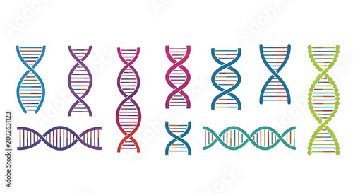 Colorful DNA Double Helix Strand Variations for Genetic Research and S