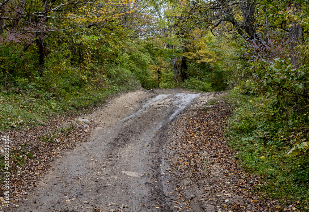 Fototapeta premium dirt roads and a path network in the natural environment of a mountain forest area in nature earlier in the autumn morning