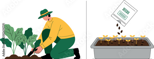 Gardener Planting Seeds in Garden Bed and Growing Vegetables for Sustainable Gardening and Agriculture