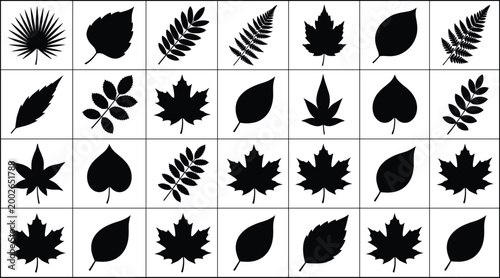 Collection of diverse leaf silhouette icons including palm, fern, maple, and compound leaf designs for botanical vector projects