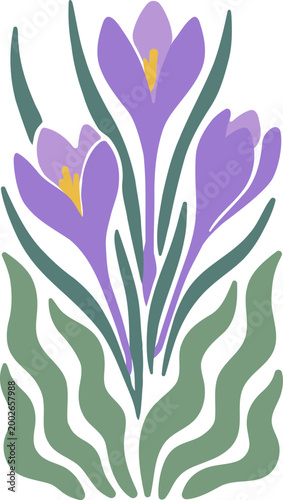 Purple crocuses bloom with yellow centers. Green leaves arch upward, forming a graceful pattern. Soft, stylized lines convey spring's gentle energy. Ideal for floral themes, nature calendars