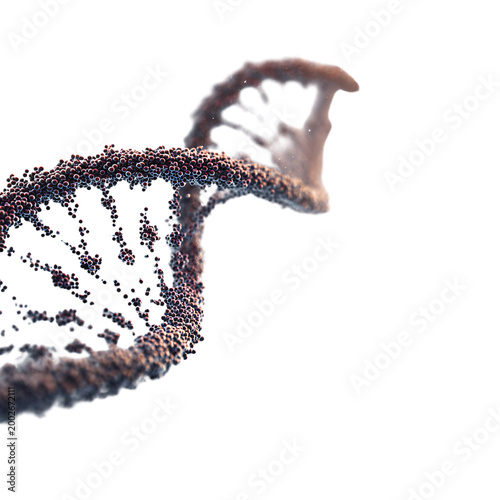 Professional Human DNA Genome Background with Copy Space Isolated on White for Genetics Research Presentation