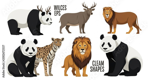 Photography Collection of Diverse Wild Animals Including Lions Pandas and Deer