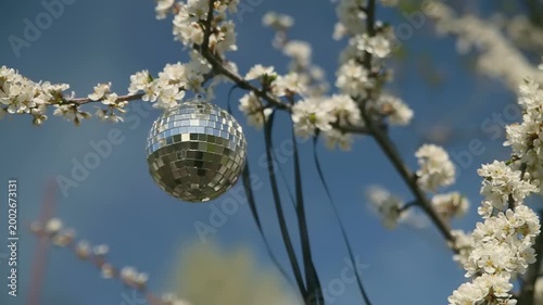 A shimmering disco ball is gracefully suspended from a branch of a blooming tree under a clear blue sky. Outdoor summer decoration. Springtime holidays