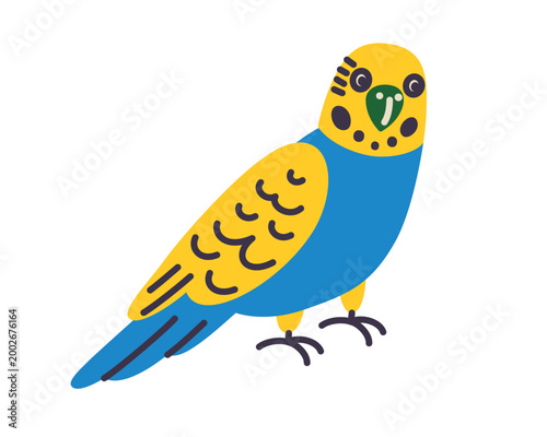 Cute yellow and blue budgerigar parakeet, bright flat cartoon pet bird. Colorful domestic bird companion, vector illustration for pet shop, aviary and bird lover designs