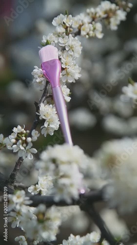 Pink cosmetic brush on blooming tree branch with white spring flowers. Product video in natural outdoor setting