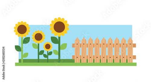 Flat illustration of vibrant sunflowers beside a wooden fence with clear blue sky background