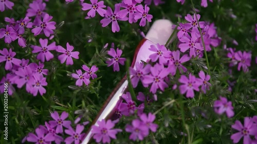 Springtime skincare and beauty routine concept. Pink makeup brush set against a backdrop of blooming pink flower