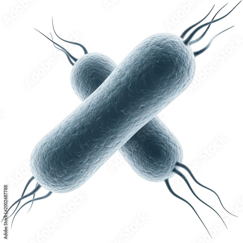 Blue bacteria cells dividing in a microscopic view