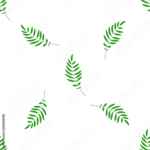 Green fern leaves pattern isolated on transparent background