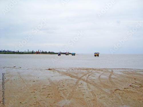Water buffalo cart rides to Yubu Island from Iriomote on low tide