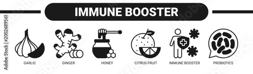Immune Booster web banner icon vector illustration concept with icons of garlic, ginger, honey, citrus fruit, immune booster, and probiotics.