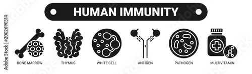 Human Immunity web banner icon vector illustration concept with icons of bone marrow, thymus, white cell, antigen, pathogen, and multivitamin.